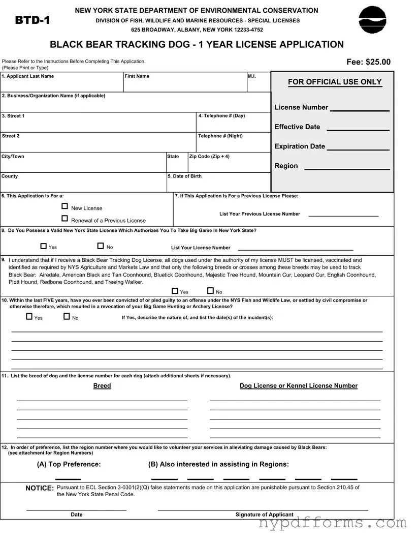 Download New York Btd 1 Template in PDF