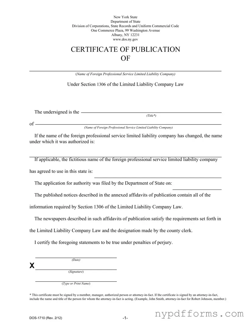 Download New York Dos 1710 Template in PDF