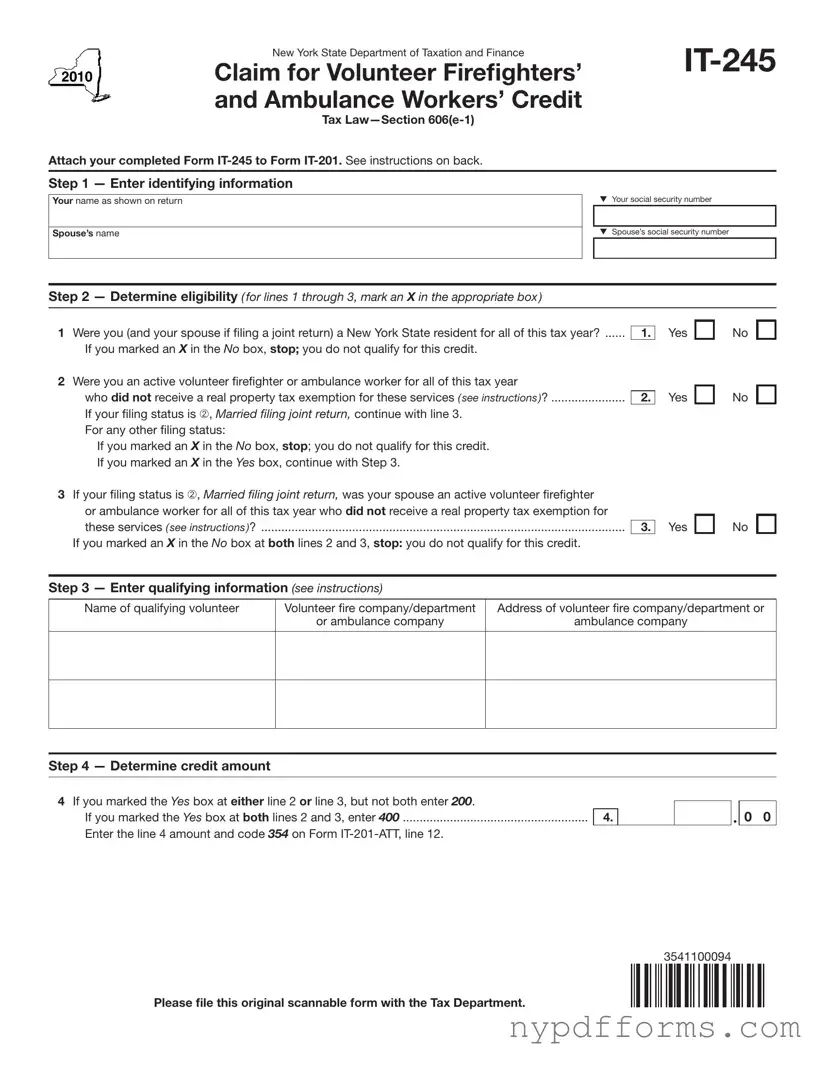 Download New York It 245 Template in PDF