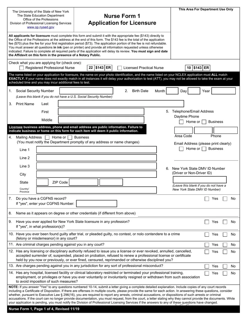 Download New York Nurse 1 Template in PDF