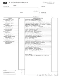 Download New York Bill Costs Template in PDF