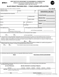 Download New York Btd 1 Template in PDF