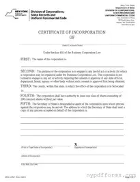 Download New York Certificate Template in PDF