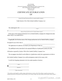 Download New York Dos 1710 Template in PDF