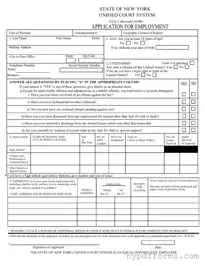 Download Ucs 5 New York Template in PDF
